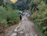 Trek to Pindari Glacier