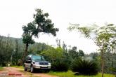 A Monsoon drive to Balur Estate