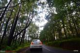 A Date with Monsoon at Wayanad