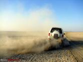 Tales from the golden dunes