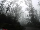 Misty Blue Mountains - Kochi to Ooty