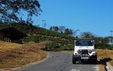 Kurseong & Darjeeling in a Thar