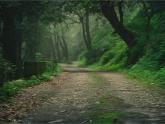 Mist and Rain, Kumaon