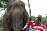 Meeting the Elephants