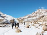 5 brothers go to Leh-Ladakh