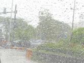 Monsoon Musings in Mumbai...