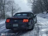 2 friends & a Mustang in USA