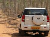 Pench National Park in a TUV300