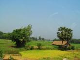 1627 km road-trip in Bengal