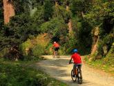 Cycling to Sach Pass...