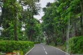 Bangalore to Yercaud