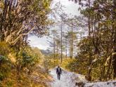 Phalut Winter Trek, Darjeeling