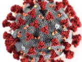 The Coronavirus Thread