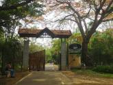 Kabini - Amidst the Wilderness