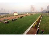 Mumbai racecourse -> Theme park