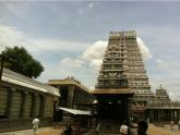 Tiruvannamalai Temple Queries