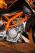 KTM to offer engine maps in India